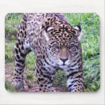 JAGUAR MOUSEPAD