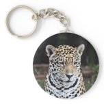 Jaguar (Panthera onca) Key Chains