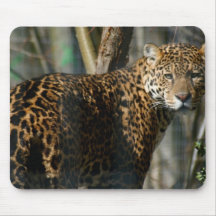 Jaguar Photo Mouse Pad