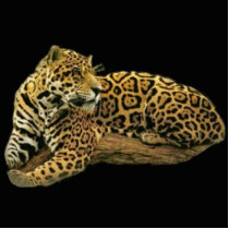 Jaguar Photo Sculpture