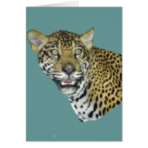 Jaguar Picture