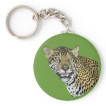 Jaguar Picture