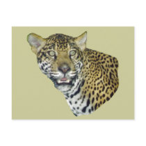 Jaguar Picture