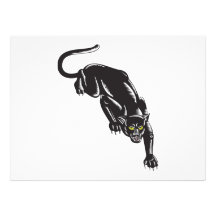 Jaguar Prowling Announcements
