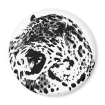 Jaguar Roaring magnets