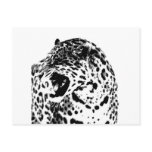 Jaguar Roaring postcards