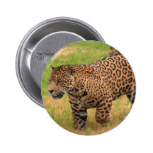 Jaguar Round Button