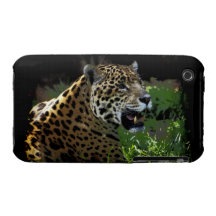 Jaguar Wild Cat Animal-Lover iPhone Case iPhone 3 Cover