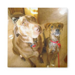 Jake & Emma Magnet