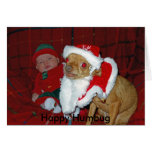 jake ETC 233_edited, Happy Humbug Greeting Cards