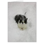 Jake in snow greeting card