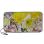 Jam Jar Vase Full Of Daffodils iPhone Speaker