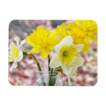 Jam Jar Vase Full Of Daffodils Rectangle Magnet