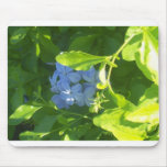 Jamaica Flower Mouse Mats