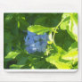 Jamaica Flower Mouse Mats