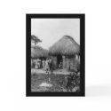 Jamaica Tobacco Plantation 1896 cards
