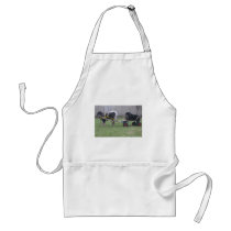 Jampo & Saffie aprons