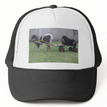 Jampo & Saffie hats