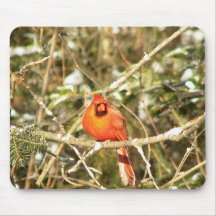 Jan 22 2007 Beautiful Male Cardinal Mouse Pad A