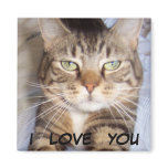 Jane says..i LOVE YOU Magnets