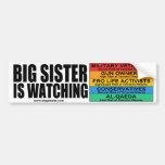 Janet "Big Sister" Napolitano is Watching Bumper Sticker