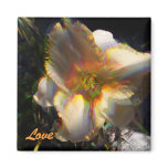 Janice's Lilly, Love magnets