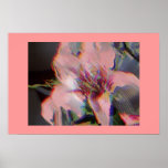 Janice's Lilly posters