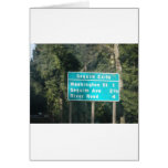 January 16 (103) cards
