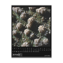 january 2010 calendar