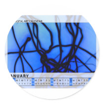 JANUARY 2011 calendar Stickers