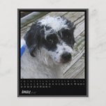 january 2012 calendar personalized flyer