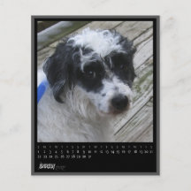 january 2012 calendar personalized flyer