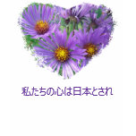 Japan Aid Relief Asters Floral T-Shirt Earthquake
