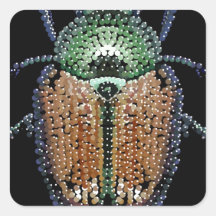 Japanese Beetle Square Stickers
