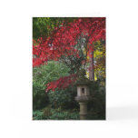 Japanese bird feeder cards