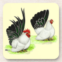 Japanese Black White Bantams Drink Coaster