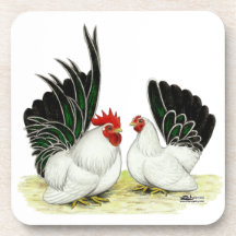 Japanese Blacktail Bantams Beverage Coasters