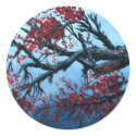 japanese cherry blossom flower tree  oriental art stickers