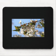 Japanese Cherry Blossom Mousepads