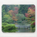 Japanese Garden at the Washington Park