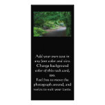 Japanese Garden Bench Rack card rack cards