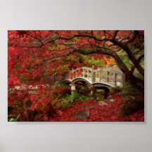 Japanese Garden, British Columbia Posters