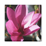 Japanese Magnolia Magnet