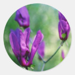 Japanese Magnolia Round Stickers