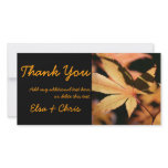 Japanese Maple (3) - Thank you photo cards