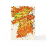 Japanese Maple