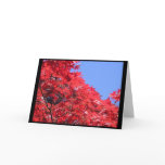 Japanese Maple Cards