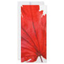 Japanese Maple Leaf Rack Card