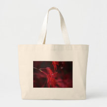 Japanese Maple with Raindrop Bags
