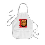 JAPANESE MASK APRONS